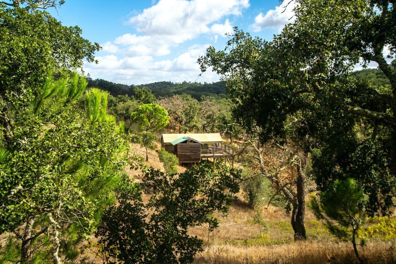 Hostal Figueirinha Ecoturismo Monte da Estrada Exterior foto
