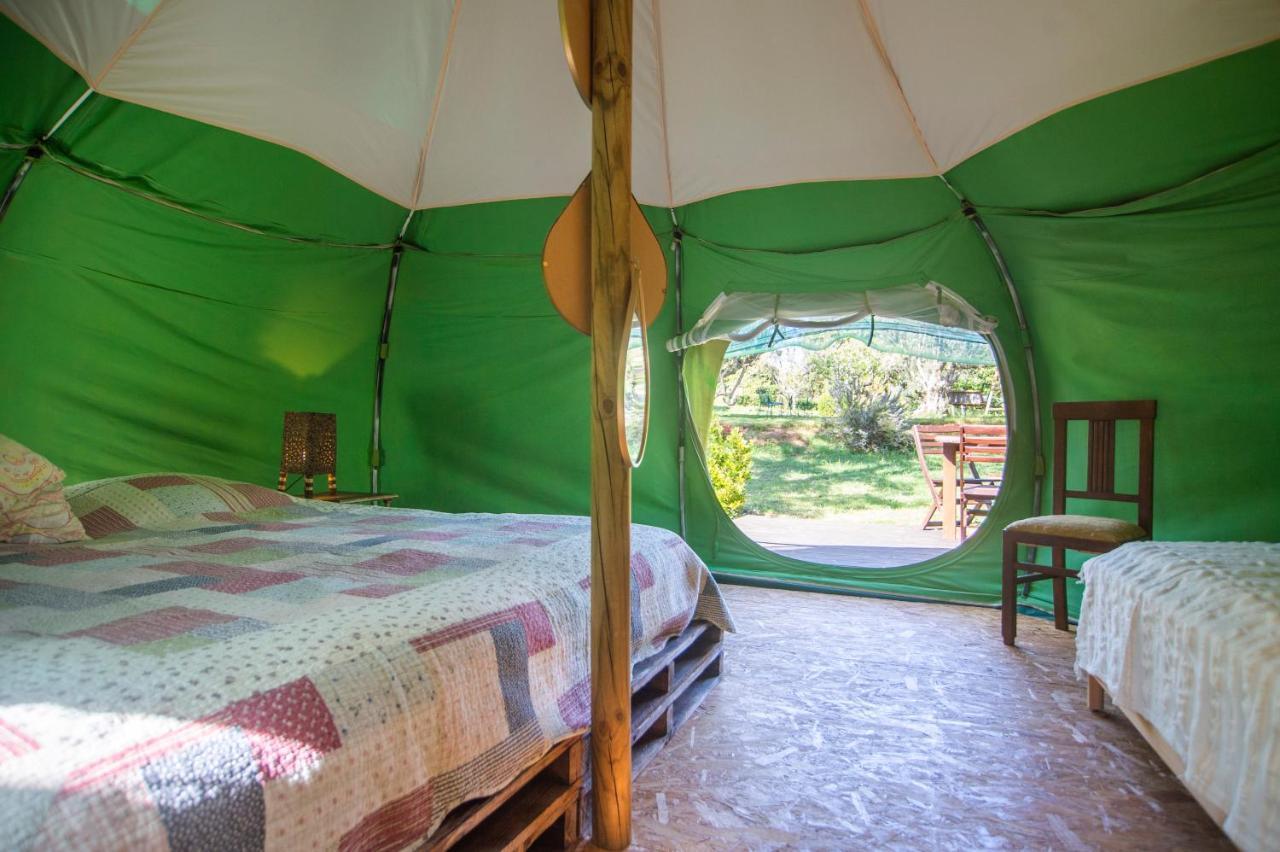 Hostal Figueirinha Ecoturismo Monte da Estrada Exterior foto