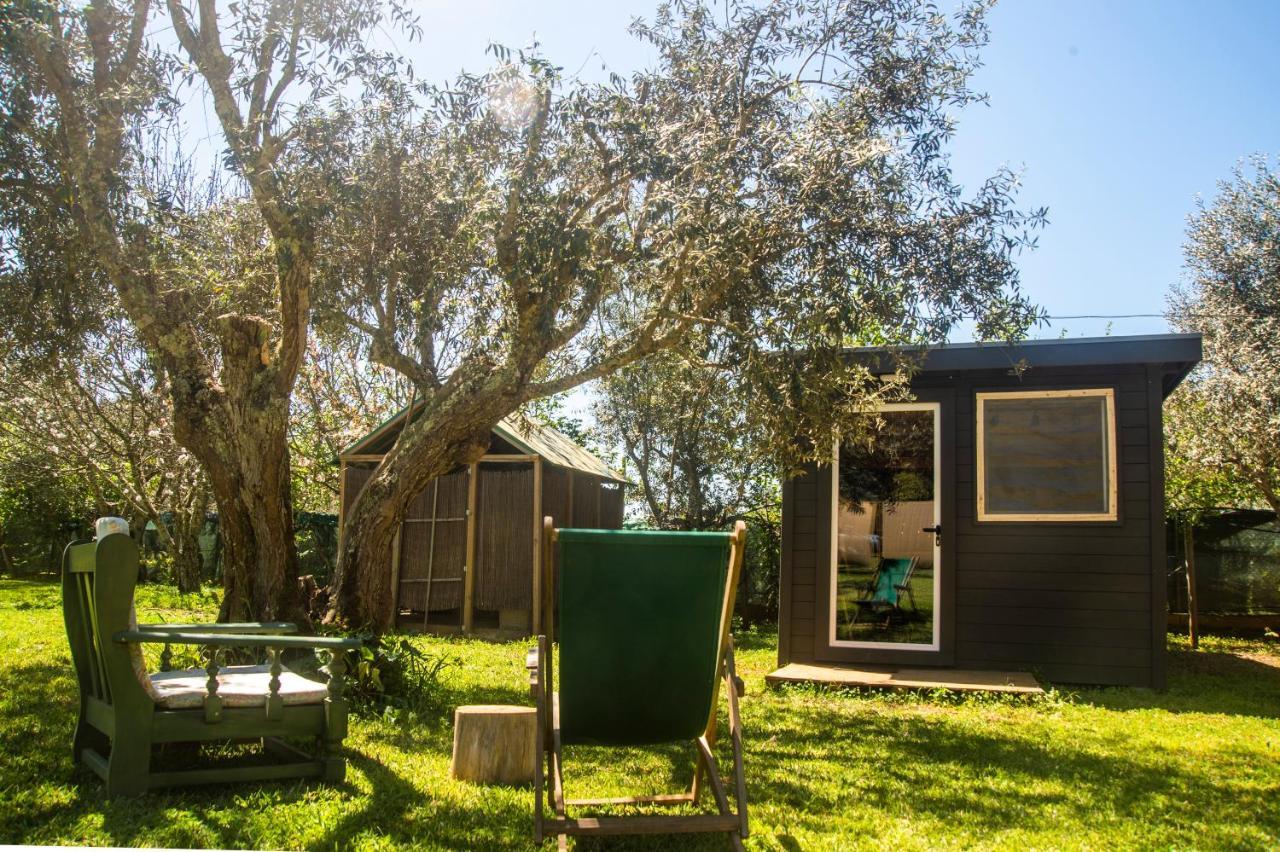 Hostal Figueirinha Ecoturismo Monte da Estrada Exterior foto